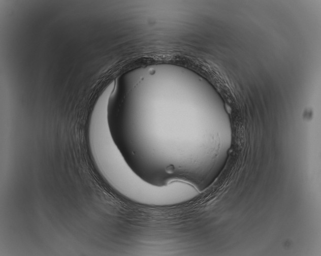 X0000093770697200711061135