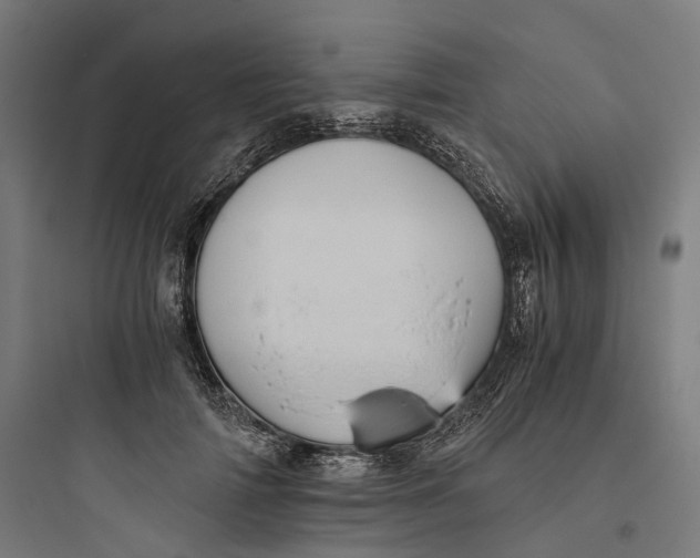 X0000093770698200711061135