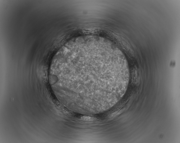 X0000093770699200711061135