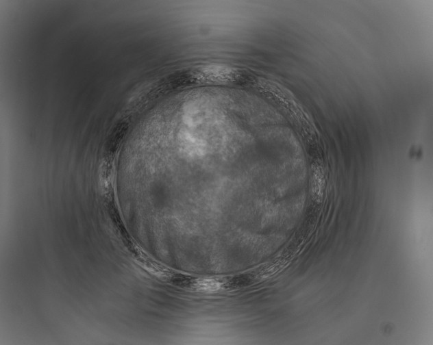 X0000093770701200711061135