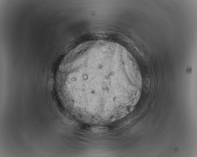 X0000093770707200711061134