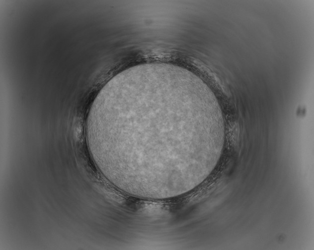 X0000093770709200711061134