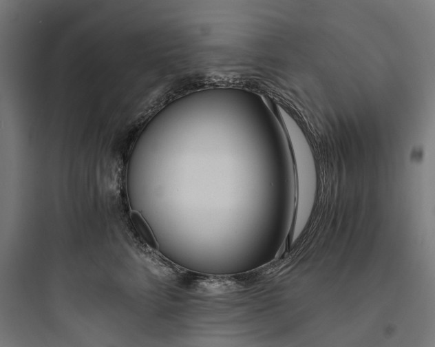 X0000093770712200711061134