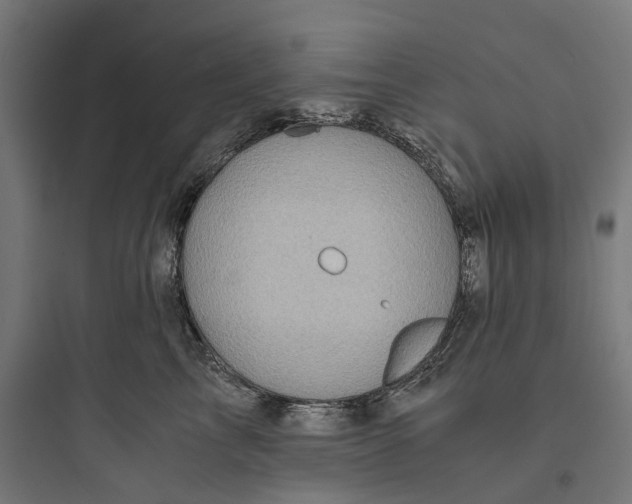 X0000093770713200711061134