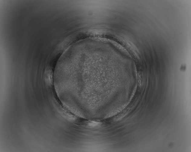 X0000093770718200711061134