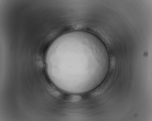 X0000093770719200711061134