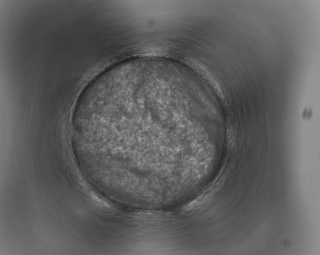 X0000093770721200711061133