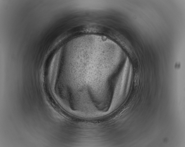 X0000093770722200711061133