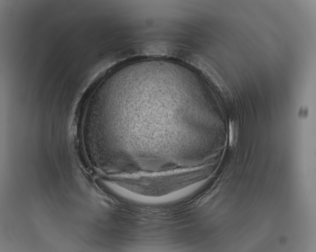 X0000093770723200711061133