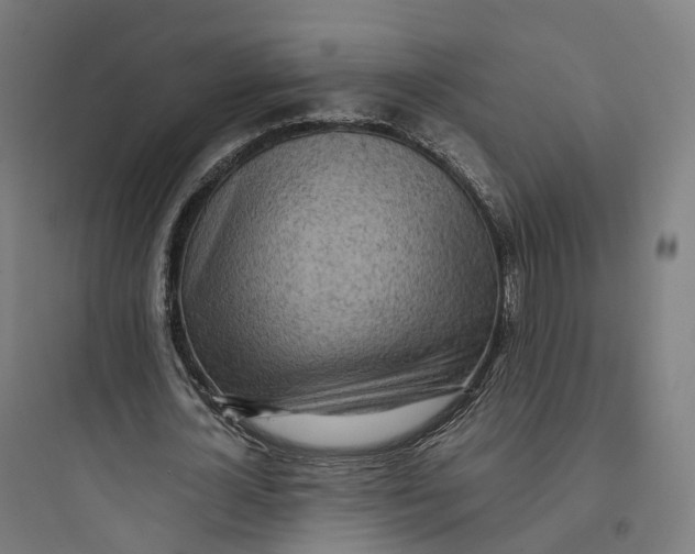 X0000093770724200711061133