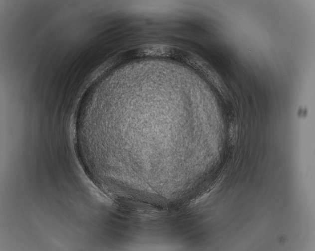 X0000093770725200711061133