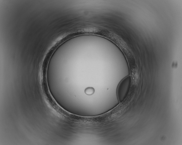 X0000093770726200711061133