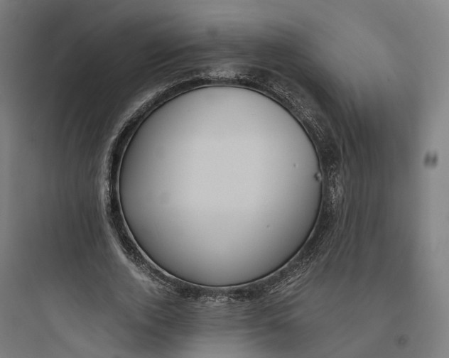 X0000093770728200711061134