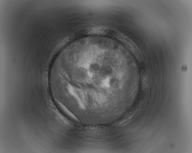 X0000093770729200711061134