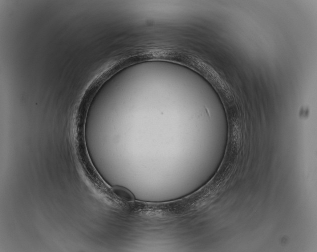 X0000093770730200711061134