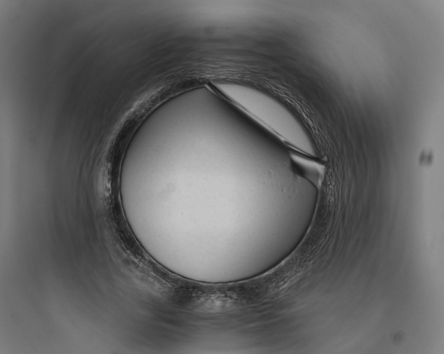 X0000093770731200711061134