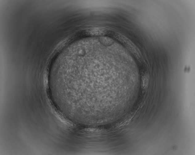 X0000093770733200711061134