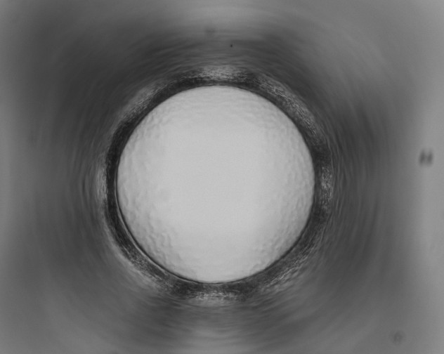 X0000093770734200711061134