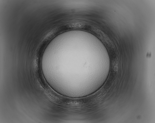 X0000093770735200711061134