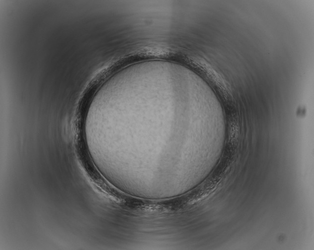 X0000093770736200711061134