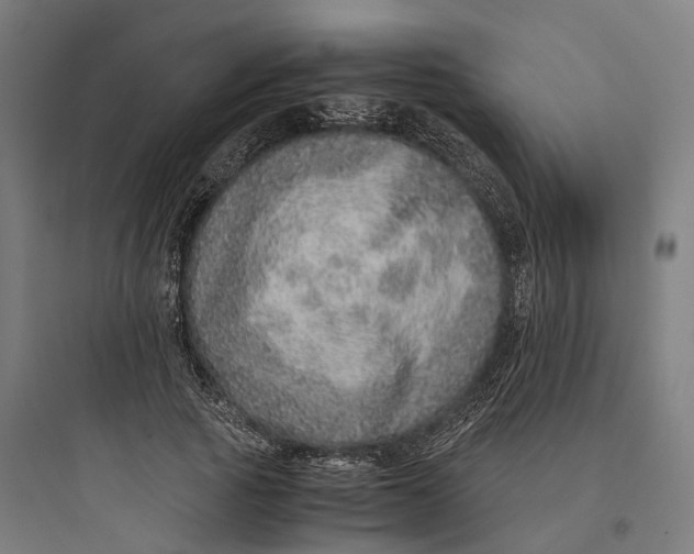 X0000093770737200711061134