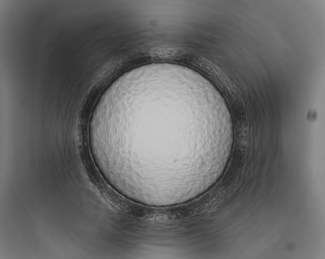 X0000093770738200711061134