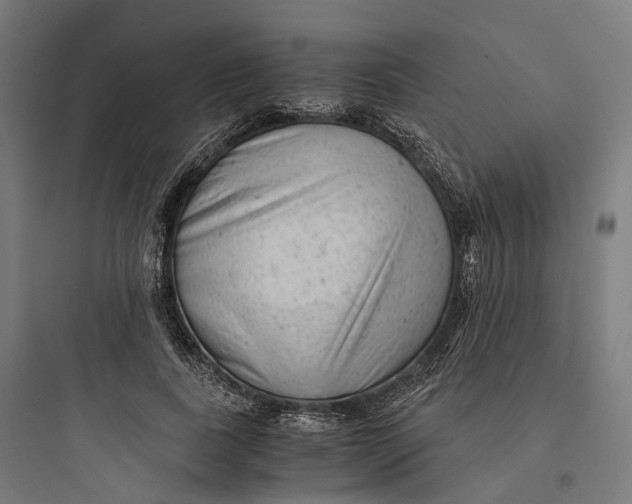 X0000093770739200711061134