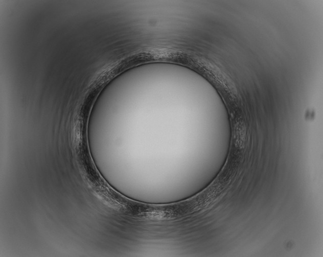 X0000093770740200711061134