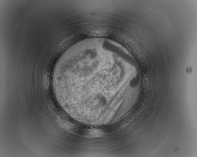 X0000093770741200711061134