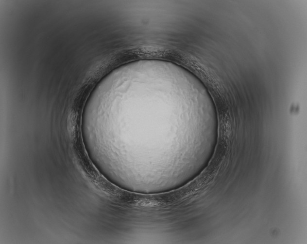 X0000093770742200711061134