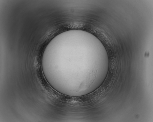 X0000093770743200711061134