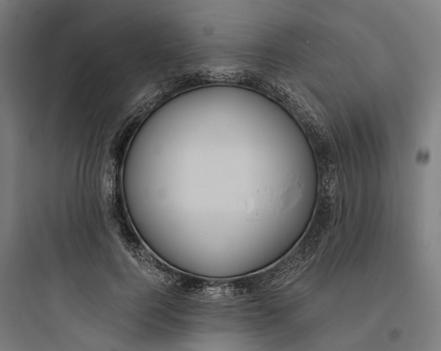 X0000093770744200711061134