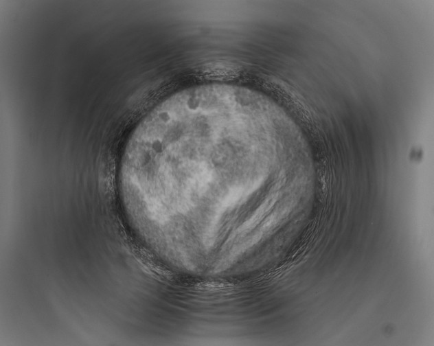 X0000093770745200711061134