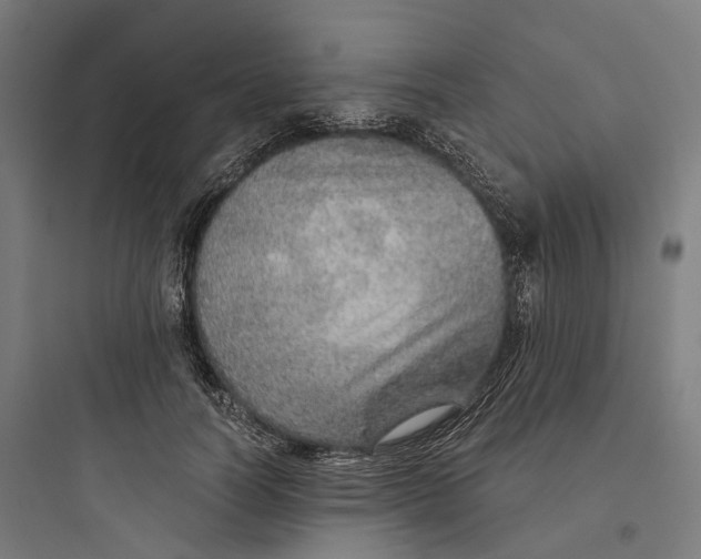 X0000093770746200711061134