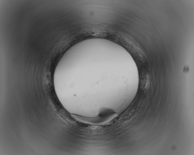 X0000093770748200711061134