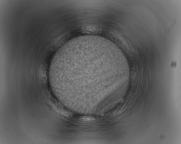 X0000093770749200711061134