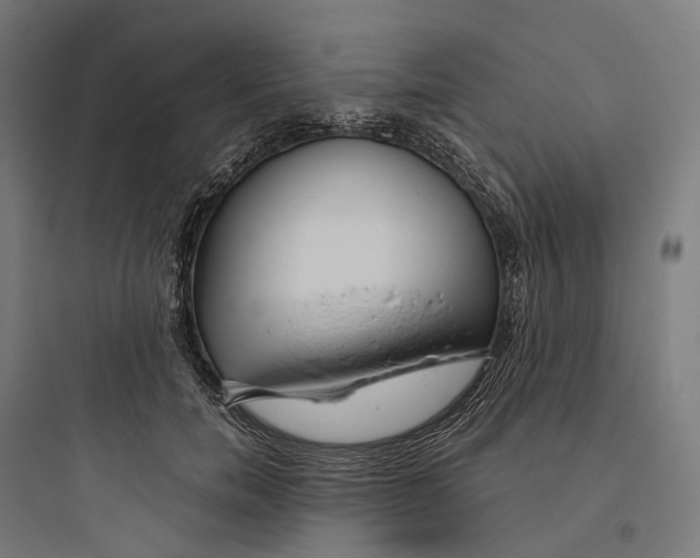 X0000093770750200711061134