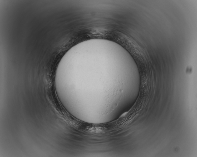 X0000093770751200711061134