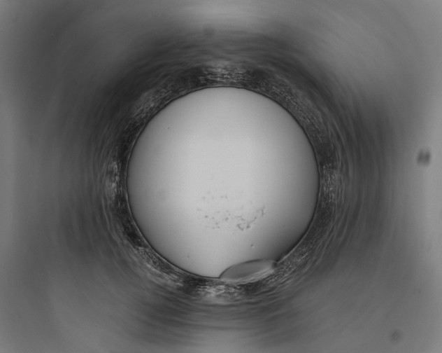 X0000093770752200711061134