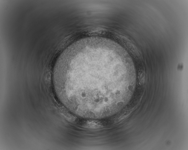 X0000093770753200711061134