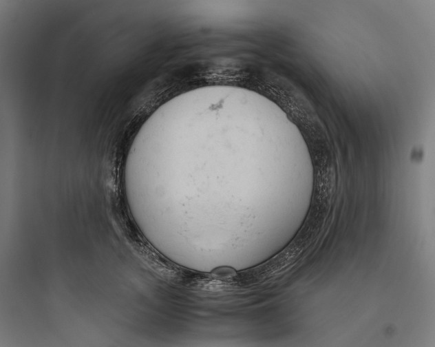 X0000093770755200711061134