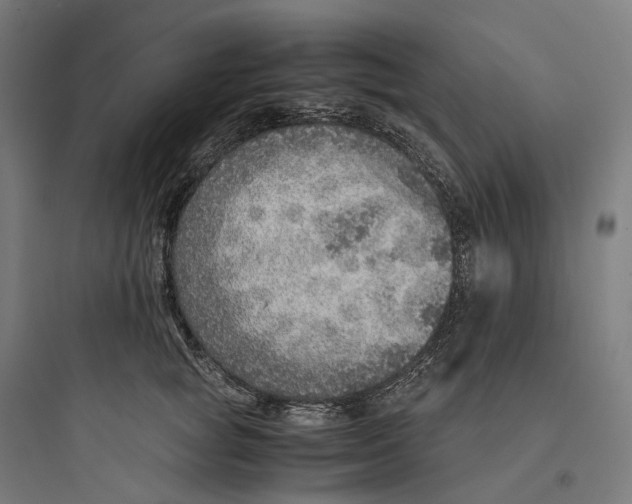 X0000093770757200711061134