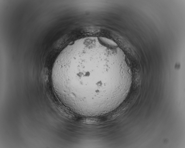 X0000093770758200711061134