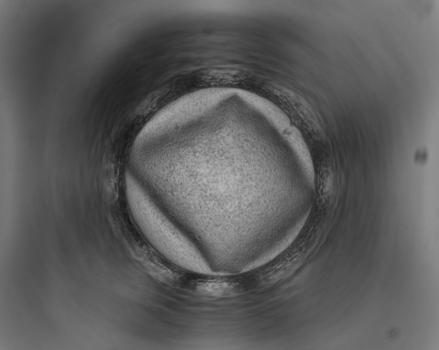 X0000093770759200711061134