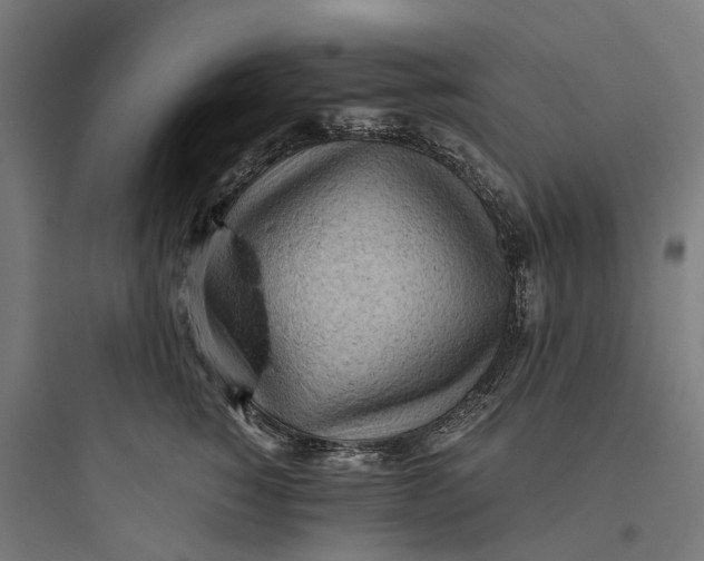 X0000093770760200711061134