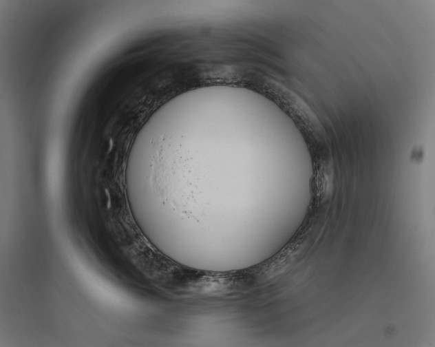 X0000093770764200711061134