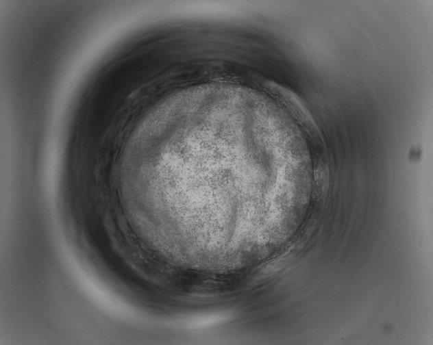 X0000093770765200711061134