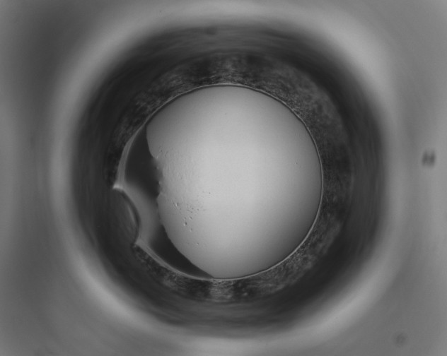 X0000093770766200711061134