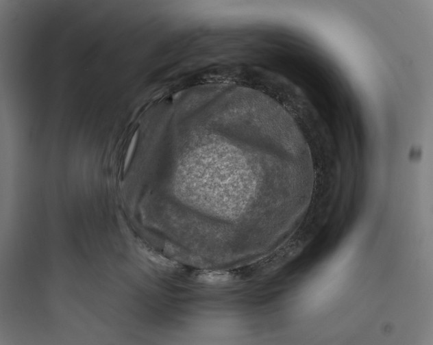 X0000093770767200711061134