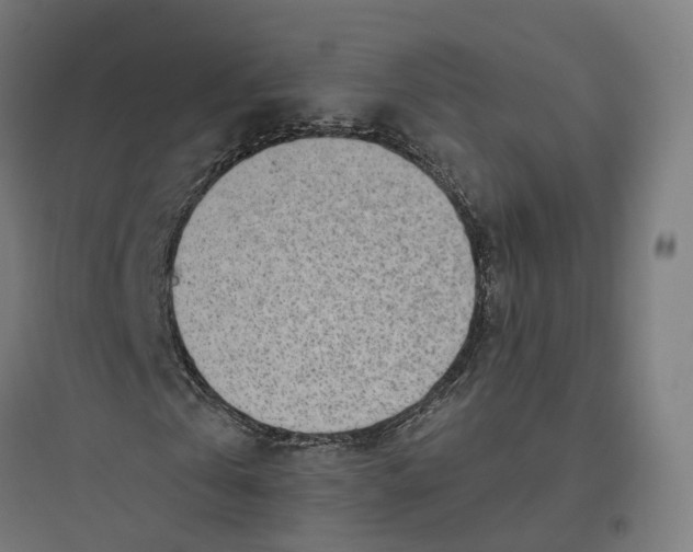 X0000093770769200711061133